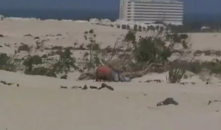Солодкий маленька реальне порн Алэйна Доусон